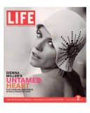 Portrait of Actress Sienna Miller, February 7, 2007