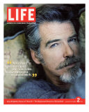 Portrait of Actor Pierce Brosnan, December 2, 2005