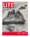 American Amphibious Tractors, Alligators, in action, August 21, 1944
