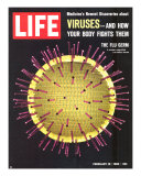 Viruses, Model of Flu Virus, February 18, 1966
