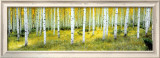 Buy Ashley National Forest at AllPosters.com
