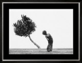 The Tree