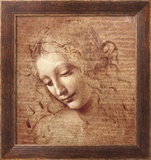 Female Head (La Scapigliata), c.1508