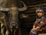 Hani Child and Water Buffalo for Ploughing Rice Paddies, Yuanyang, Honghe Prefecture, China
