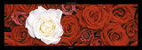 Buy Roses I at AllPosters.com