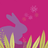 Lapin
