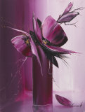 Envol