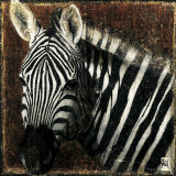 Buy Zebra Portrait at AllPosters.com
