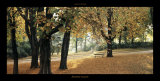 Buy Automne au Parc at AllPosters.com
