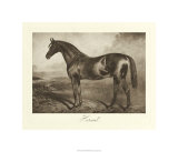 Buy Hermit at AllPosters.com