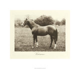 Buy Veronese at AllPosters.com