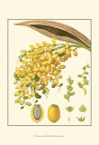 Buy Tropicals VIII at AllPosters.com
