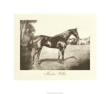 Buy Master Willie at AllPosters.com