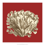 Coral on Red III