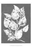 Buy Frosty Philodendron I at AllPosters.com