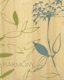 Harmony