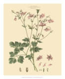 Buy Blushing Pink Florals IX at AllPosters.com