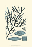 Buy Azure Seaweed III at AllPosters.com