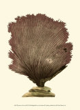 Buy Jewels of the Sea III at AllPosters.com