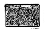 Farmer's Market VI