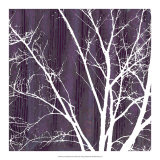 Aurora Silhouette III