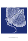 Saturated Sealife III