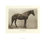 Buy Nunthorpe at AllPosters.com