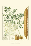Buy Tropicals IV at AllPosters.com