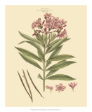 Buy Blushing Pink Florals III at AllPosters.com
