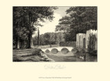 View of Ditton Park