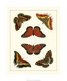 Buy Butterflies I at AllPosters.com
