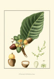 Buy Tropicals V at AllPosters.com