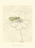 Summer Chorus II