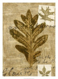 Buy Leaf Collage I at AllPosters.com