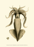 Buy Creatures of the Sea IV at AllPosters.com