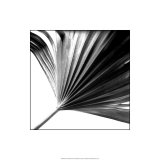 Buy Black and White Palms II at AllPosters.com