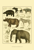 Oken Elephant and Zebra