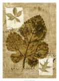 Buy Leaf Collage IV at AllPosters.com