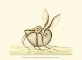 Buy Creatures of the Sea V at AllPosters.com