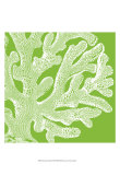 Saturated Coral II