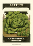 Buy Lettuce at AllPosters.com