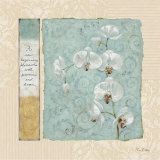 Buy New Beginnings at AllPosters.com