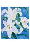 Buy Lillies at AllPosters.com