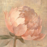 Sweet Peony