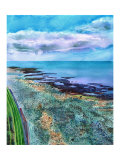 Rottingdean