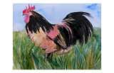 Buy Cockerel at AllPosters.com
