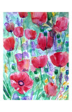Buy Poppies at AllPosters.com