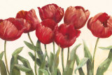 Ruby Tulips Art Print