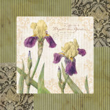 Buy Garden Inspiration II at AllPosters.com