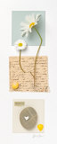 Buy Serenity at AllPosters.com